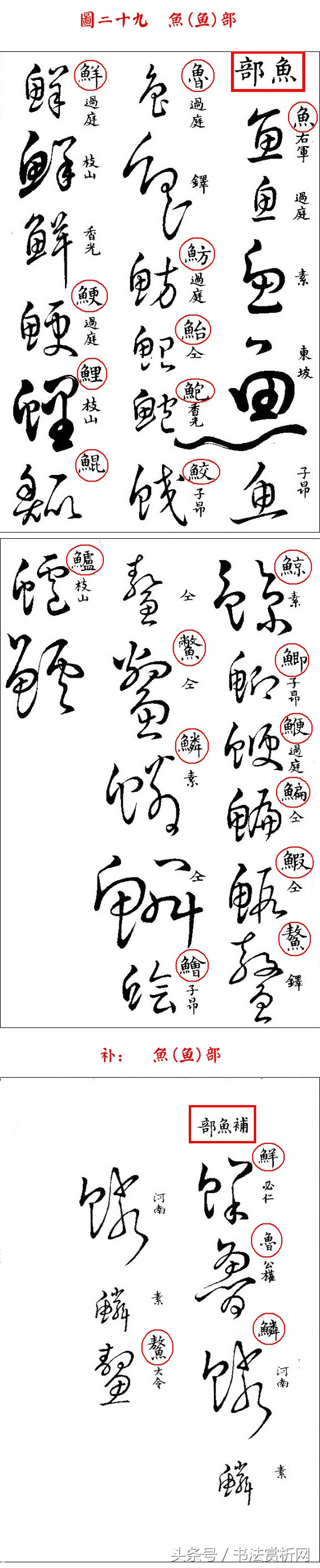 书法欣赏草书名家作品赏析,历代草书名家草体总汇之六