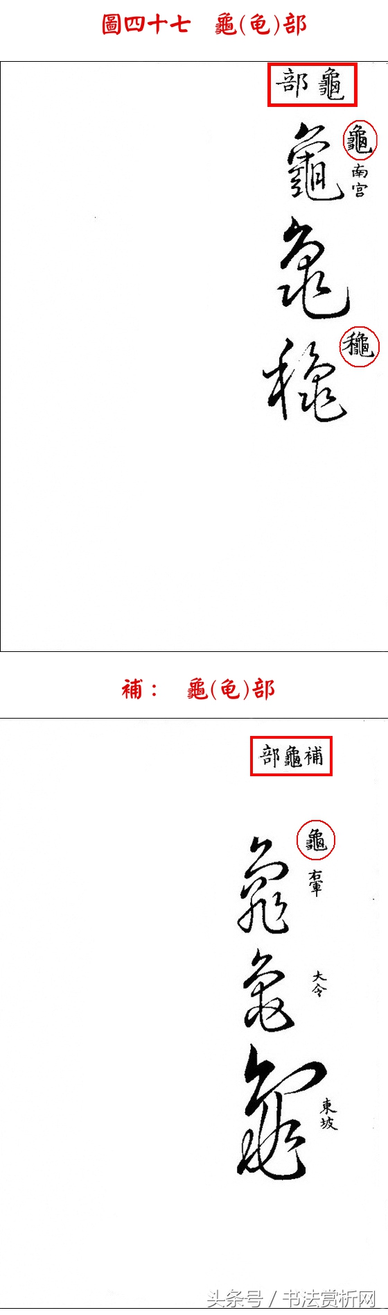 书法欣赏草书名家作品赏析,历代草书名家草体总汇之六