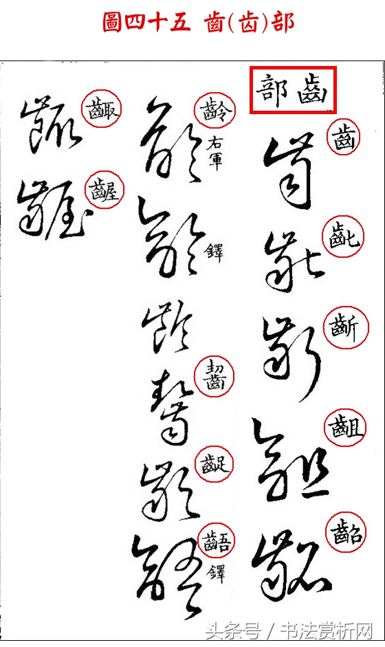 书法欣赏草书名家作品赏析,历代草书名家草体总汇之六