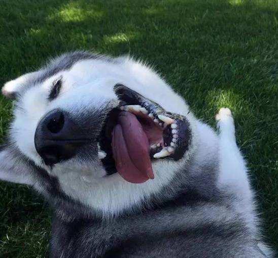 你今天笑了吗笑脸图片,你今天笑了没图片