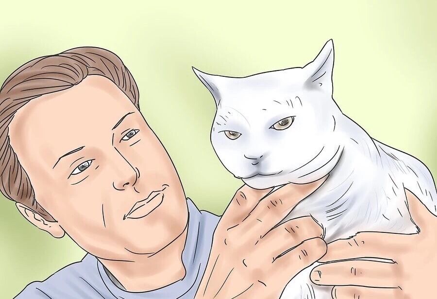 猫咪遇见杀虫剂中毒有哪些症状,猫咪蚊香中毒多久可以恢复正常