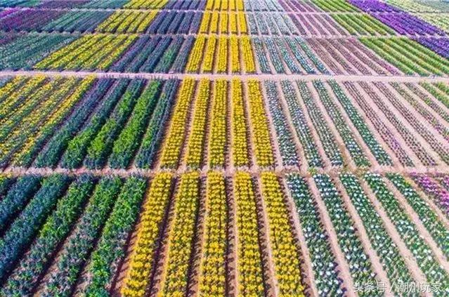 潮州五大景区,潮州最值得去的景点排名前十