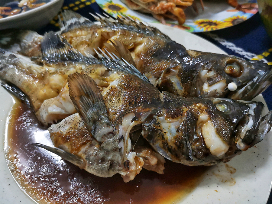 去柬埔寨自由行攻略视频,柬埔寨5天游自由行攻略