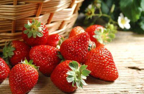 又到一年草莓种植季，你的草莓脱毒苗买好了吗，这6立体栽培方式有5大好处，值得你尝试