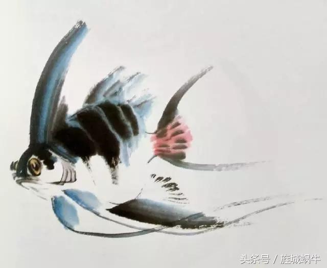 国画锦鲤鱼的画法与调色,国画写意神仙鱼100图欣赏