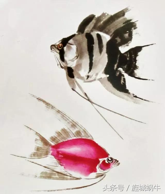 国画锦鲤鱼的画法与调色,国画写意神仙鱼100图欣赏