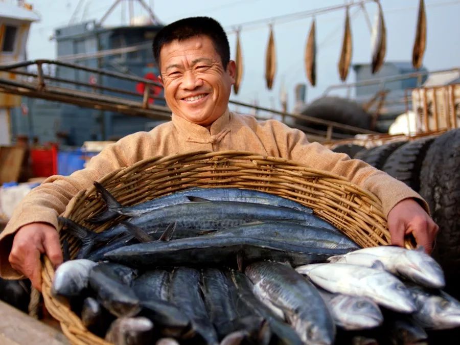 美食家蔡澜带两个女孩吃遍天下,美食家蔡澜吃鱼