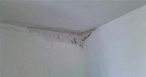 租的房子漏水应该找谁,租的房子漏水可以要求房东赔偿吗