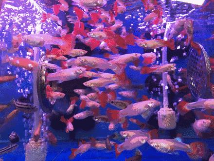 广州便宜又好看的批发市场,广州年前批发市场买衣服地方推荐