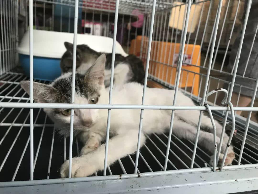 广州便宜又好看的批发市场,广州年前批发市场买衣服地方推荐