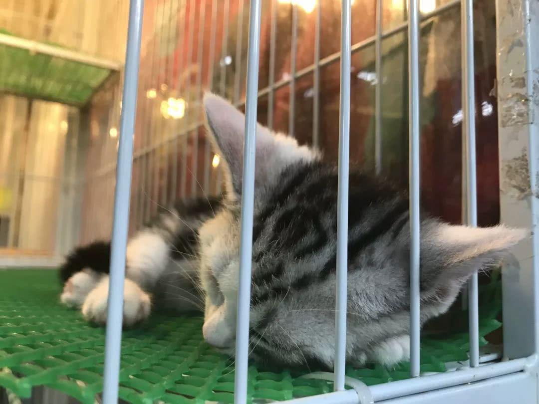 广州便宜又好看的批发市场,广州年前批发市场买衣服地方推荐