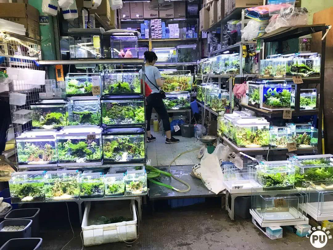 广州便宜又好看的批发市场,广州年前批发市场买衣服地方推荐