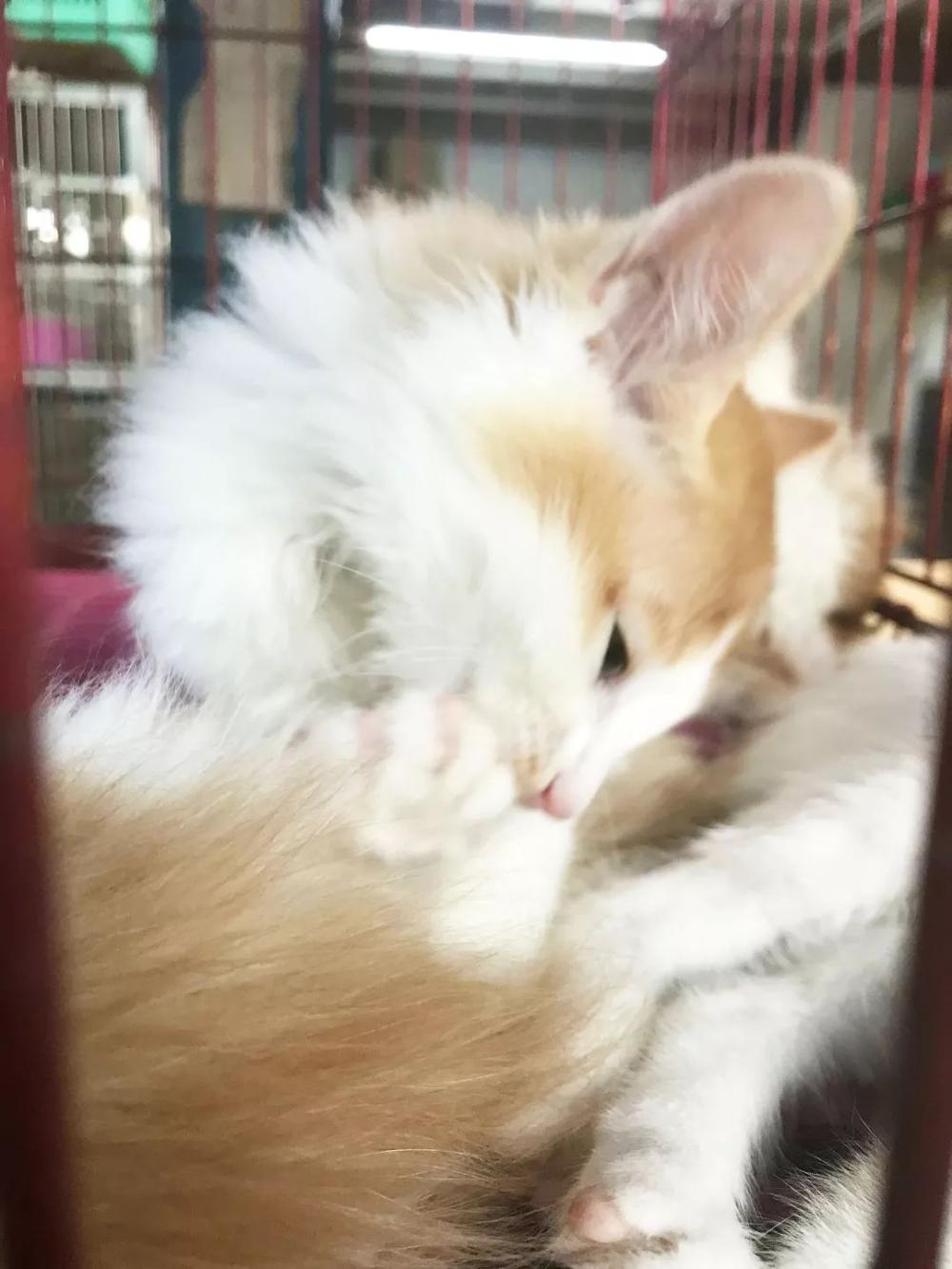 广州便宜又好看的批发市场,广州年前批发市场买衣服地方推荐