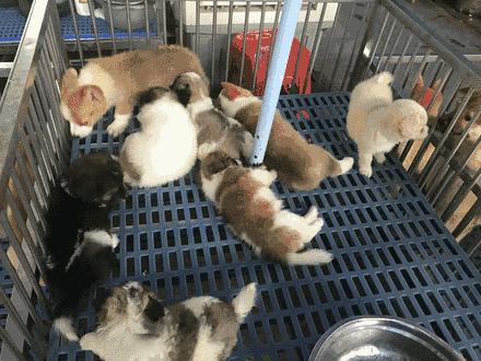 广州便宜又好看的批发市场,广州年前批发市场买衣服地方推荐