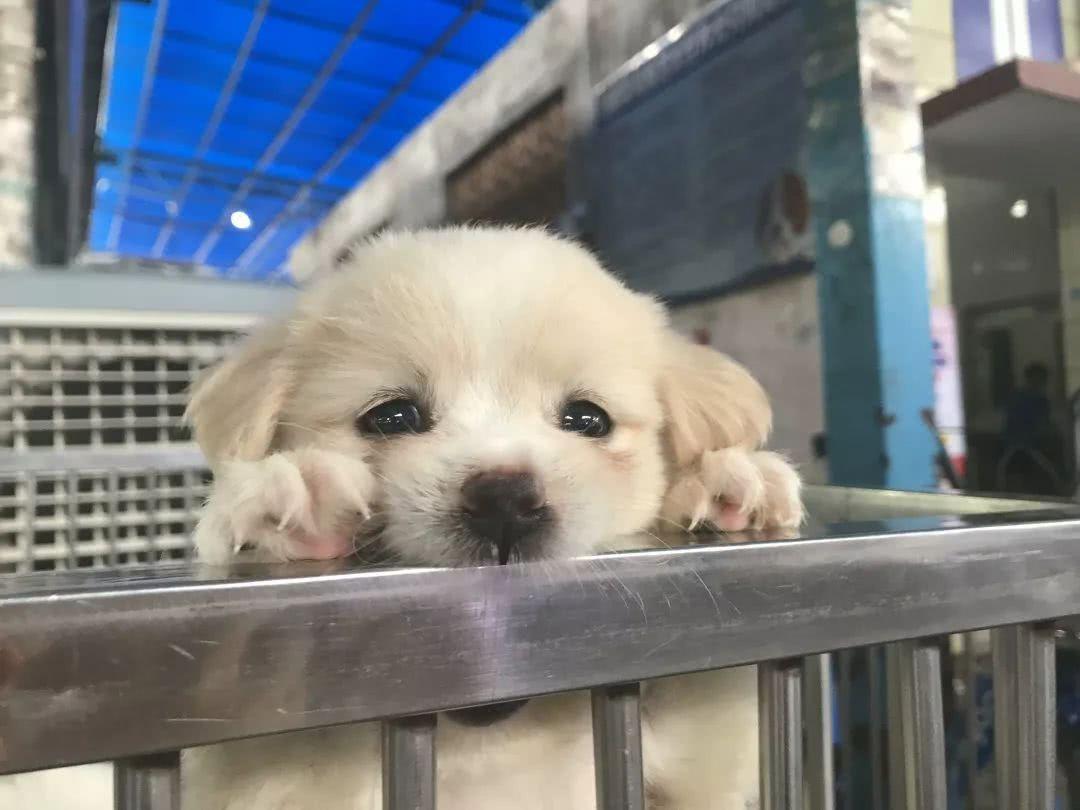 广州便宜又好看的批发市场,广州年前批发市场买衣服地方推荐