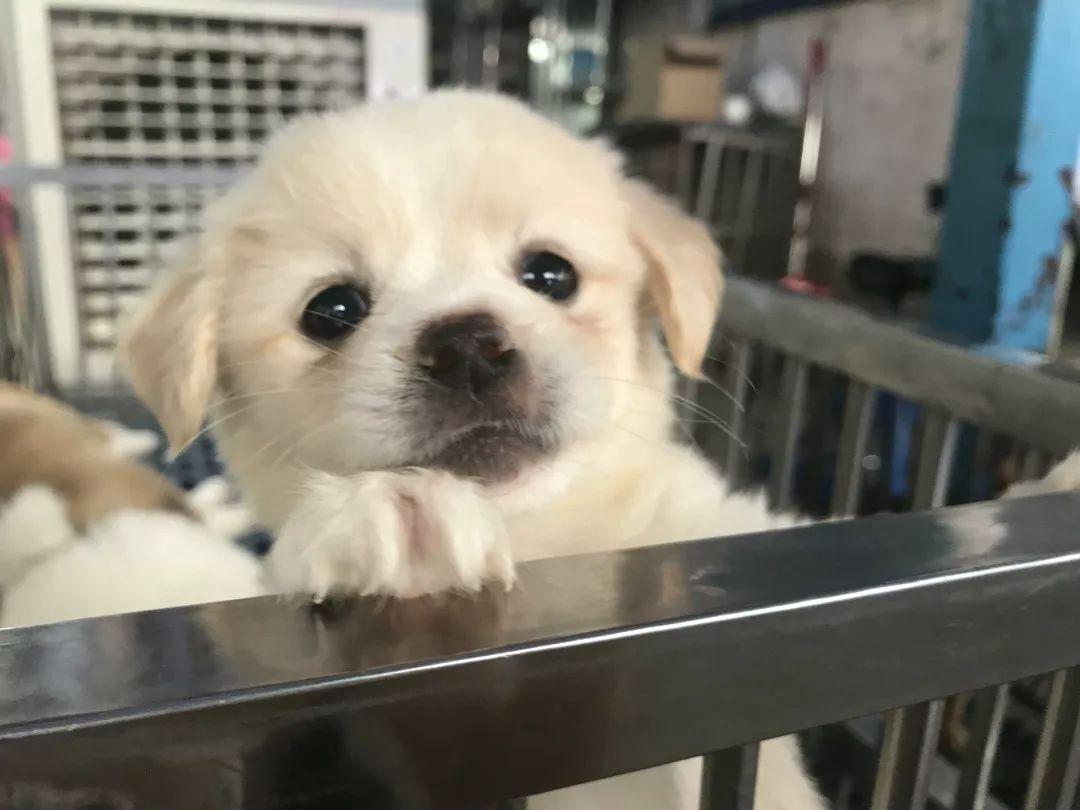 广州便宜又好看的批发市场,广州年前批发市场买衣服地方推荐