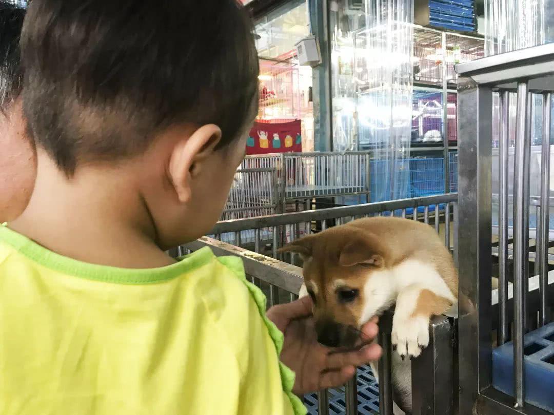 广州便宜又好看的批发市场,广州年前批发市场买衣服地方推荐