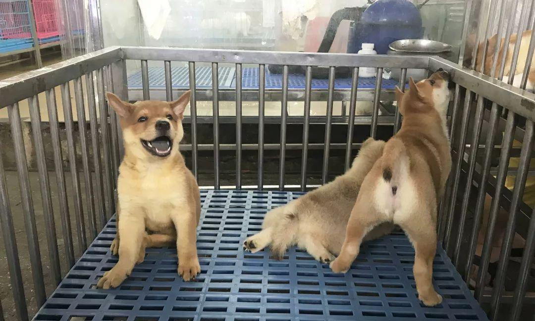 广州便宜又好看的批发市场,广州年前批发市场买衣服地方推荐