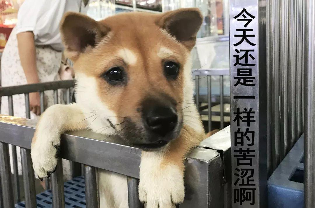 广州便宜又好看的批发市场,广州年前批发市场买衣服地方推荐