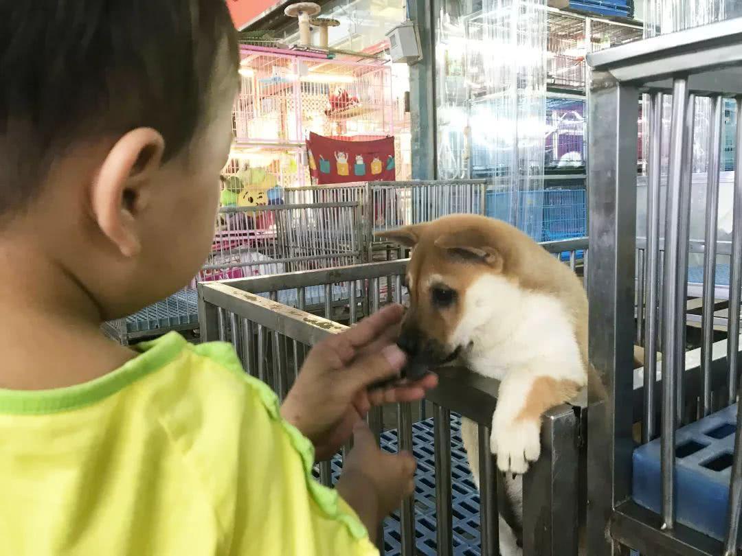 广州便宜又好看的批发市场,广州年前批发市场买衣服地方推荐