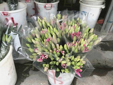 广州便宜又好看的批发市场,广州年前批发市场买衣服地方推荐