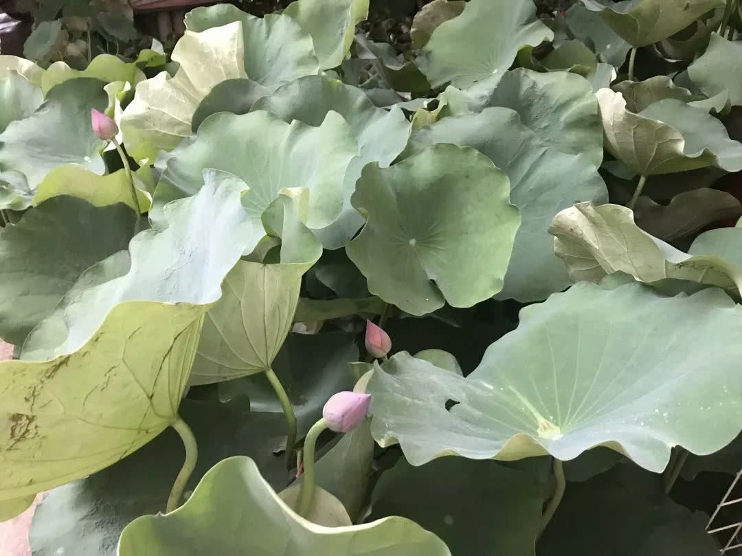 广州便宜又好看的批发市场,广州年前批发市场买衣服地方推荐