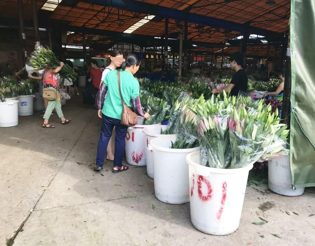 广州便宜又好看的批发市场,广州年前批发市场买衣服地方推荐