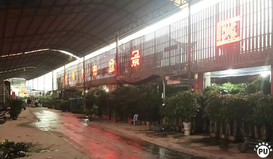 广州便宜又好看的批发市场,广州年前批发市场买衣服地方推荐