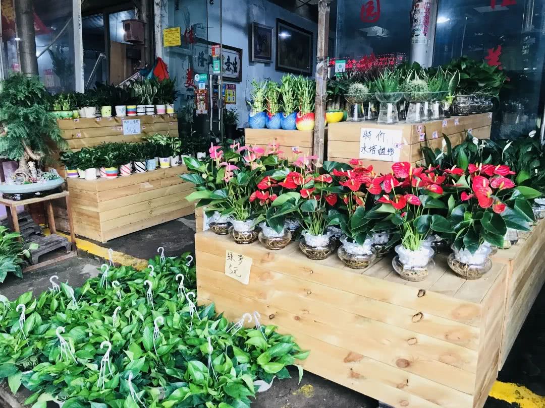 广州便宜又好看的批发市场,广州年前批发市场买衣服地方推荐