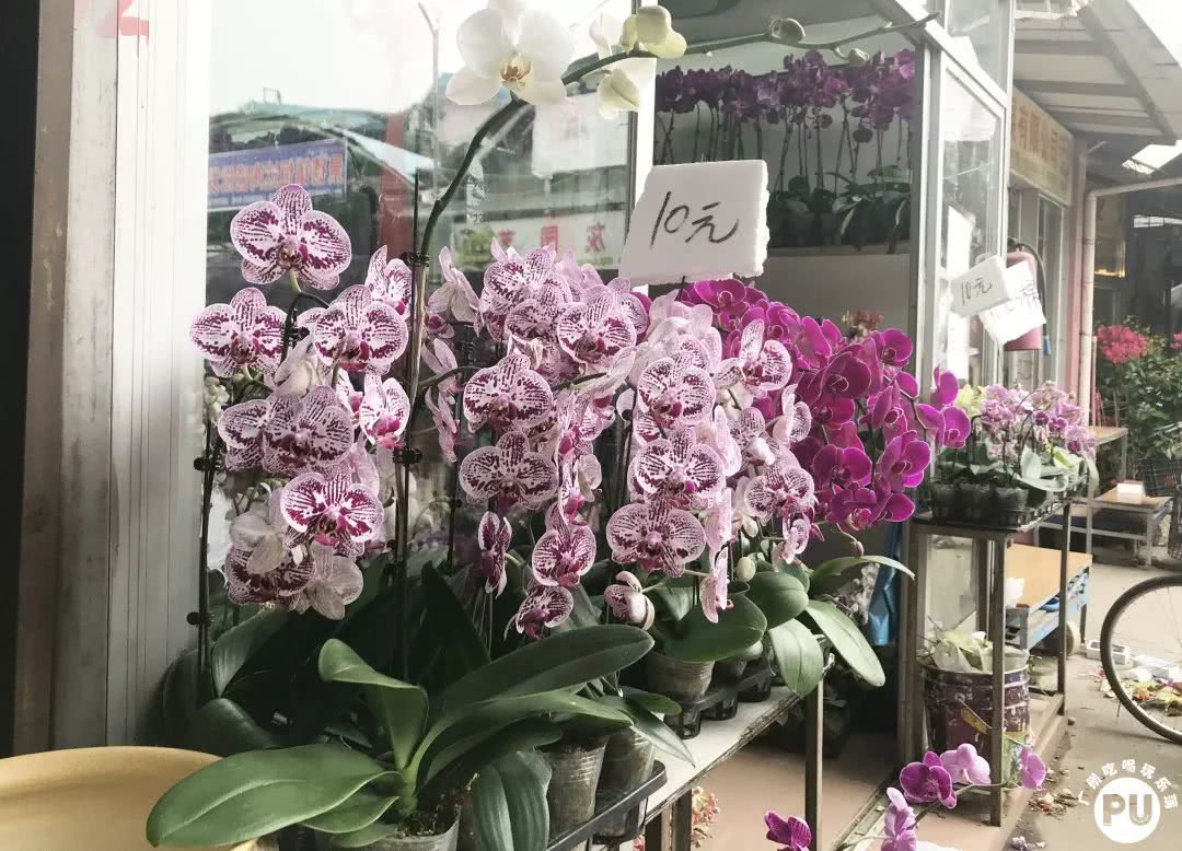 广州便宜又好看的批发市场,广州年前批发市场买衣服地方推荐