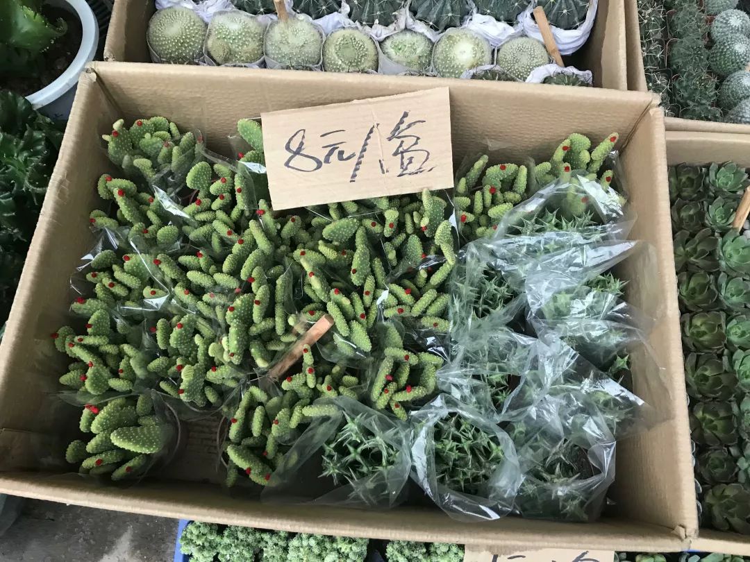 广州便宜又好看的批发市场,广州年前批发市场买衣服地方推荐