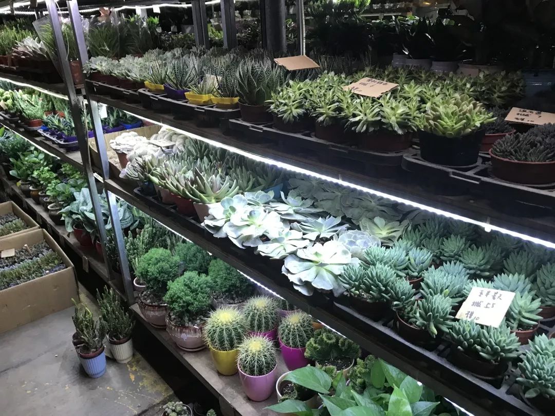 广州便宜又好看的批发市场,广州年前批发市场买衣服地方推荐