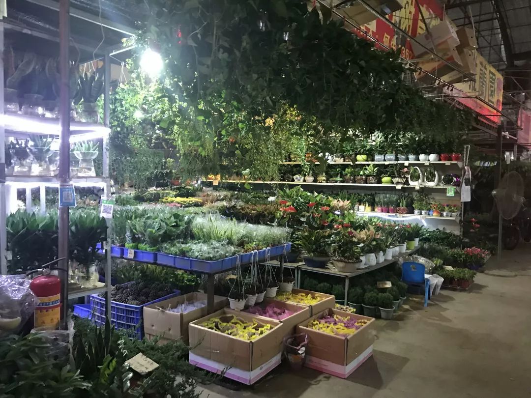 广州便宜又好看的批发市场,广州年前批发市场买衣服地方推荐