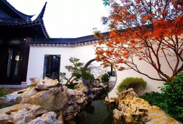 城市森林里的清新,城市山林