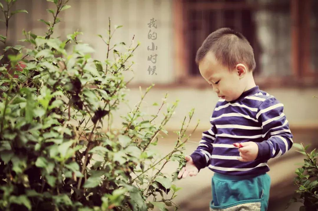 小时候最爱看的片段,小时候最爱看的童年回忆