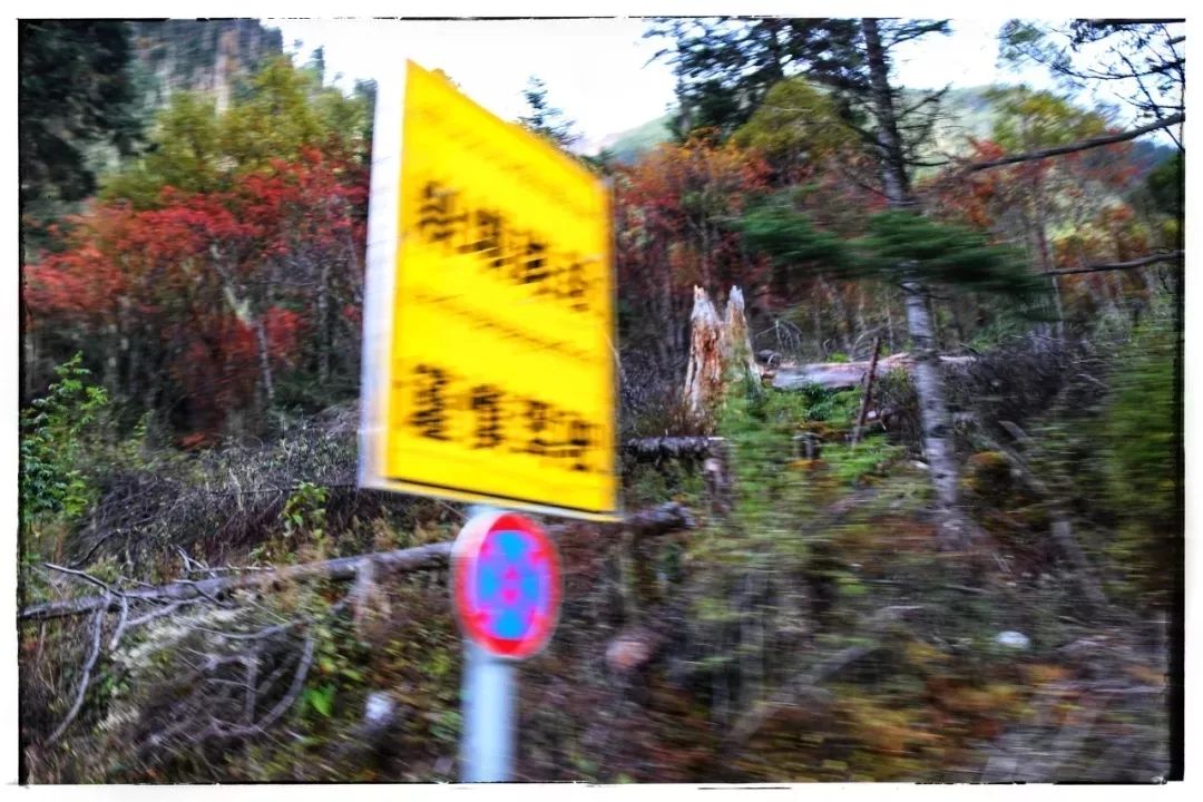 中秋旅行结伴云南,九月份准备去西藏结伴同行的有吗