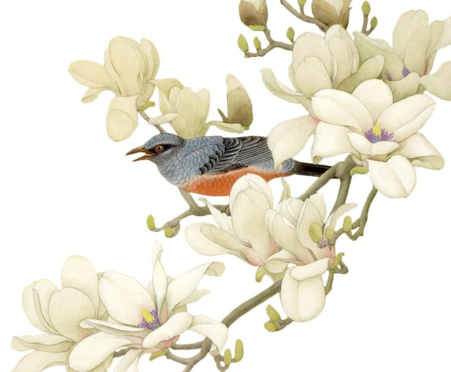 jomalone鏄湡鐨勫悧,jomalone榛戣壊