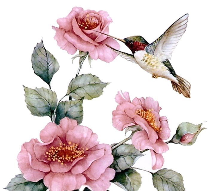 jomalone鏄湡鐨勫悧,jomalone榛戣壊