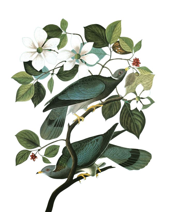 jomalone鏄湡鐨勫悧,jomalone榛戣壊