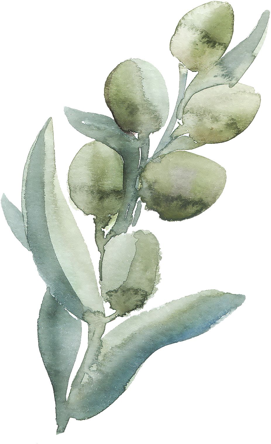 jomalone鏄湡鐨勫悧,jomalone榛戣壊