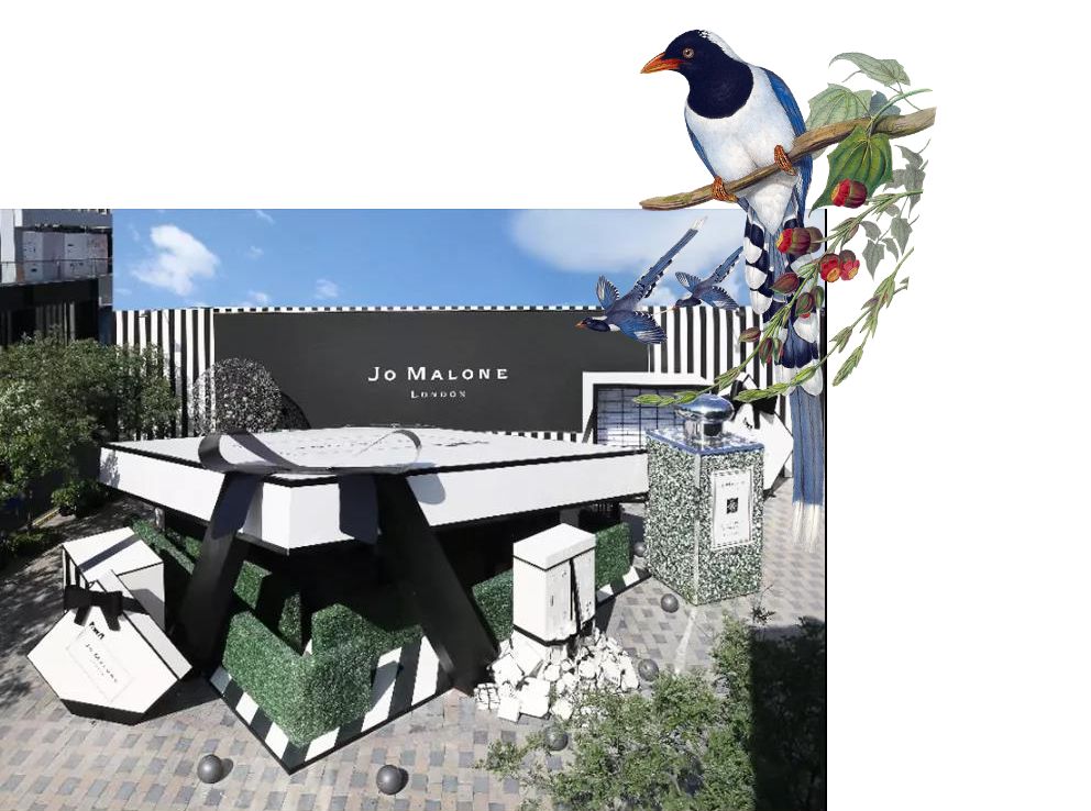 jomalone鏄湡鐨勫悧,jomalone榛戣壊