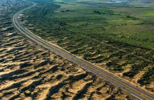 适合农村小型养殖的致富项目,适合农民的致富项目