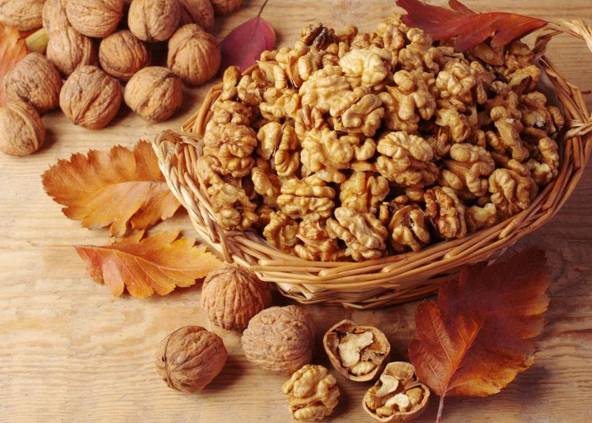 适合农村小型养殖的致富项目,适合农民的致富项目