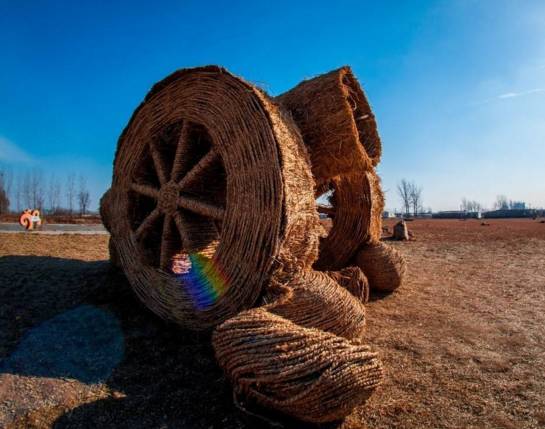 适合农村小型养殖的致富项目,适合农民的致富项目