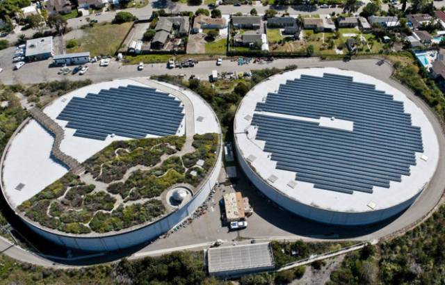 适合农村小型养殖的致富项目,适合农民的致富项目