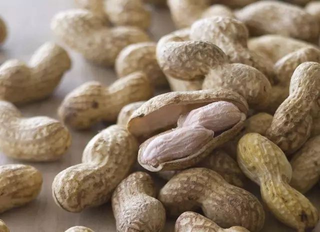 适合农村小型养殖的致富项目,适合农民的致富项目