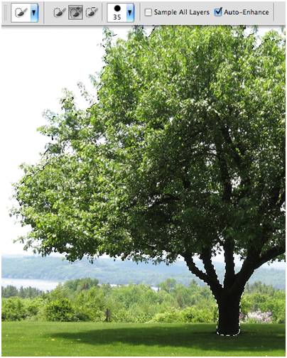 ps抠图换背景怎么融合得无痕迹,ps2022抠图详细的方法步骤