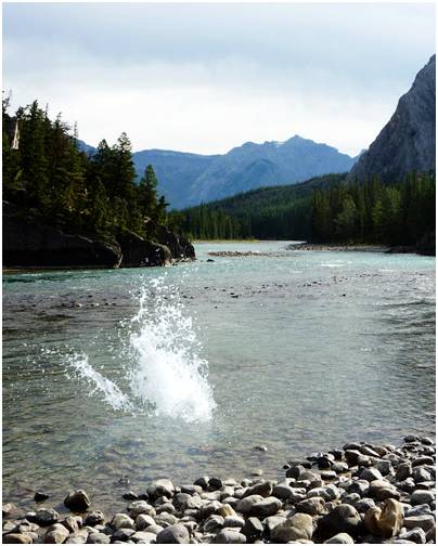 ps抠图换背景怎么融合得无痕迹,ps2022抠图详细的方法步骤