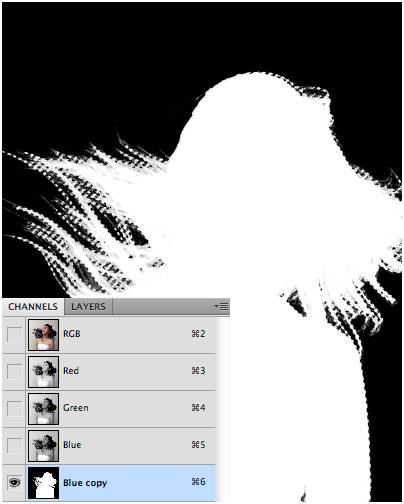 ps抠图换背景怎么融合得无痕迹,ps2022抠图详细的方法步骤