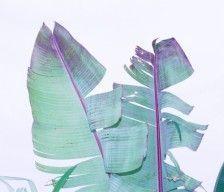 抽雪茄真的有那么讲究吗,雪茄爱好者们应该如何正确抽雪茄